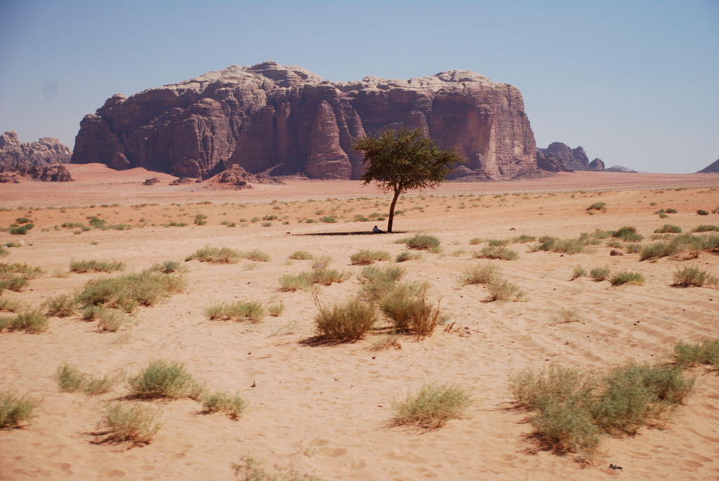 Wadi Rum